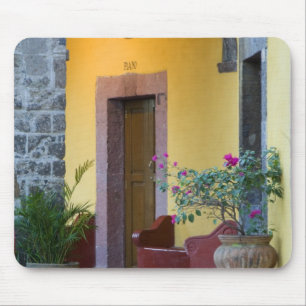 Mexico, San Miguel de Allende, Boogvormige ingang Muismat