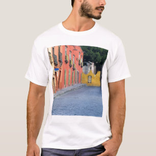 Mexico, San Miguel de Allende, Homes langs T-shirt