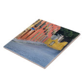 Mexico, San Miguel de Allende, Homes langs Tegeltje (Zijkant)