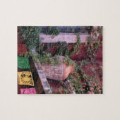 Mexico, San Miguel de Allende, Ivy, kleipot, Legpuzzel (Horizontaal)