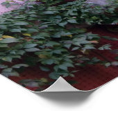 Mexico, San Miguel de Allende, Ivy, kleipot, Poster (Hoek)