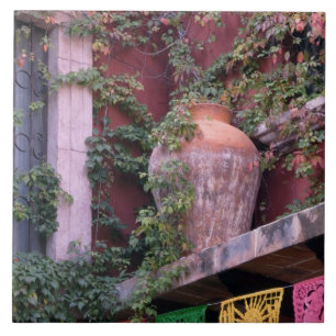 Mexico, San Miguel de Allende, Ivy, kleipot, Tegeltje