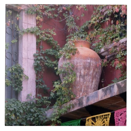 Mexico, San Miguel de Allende, Ivy, kleipot, Tegeltje (Voorkant)