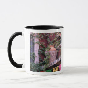 Mexico, San Miguel de Allende, klimop, kleipot, Mok