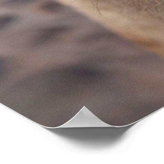 Mexico, San Miguel De Allende Poster (Hoek)