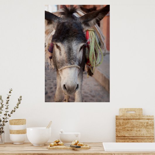 Mexico, San Miguel De Allende Poster (Keuken)