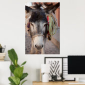 Mexico, San Miguel De Allende Poster (Thuiskantoor)