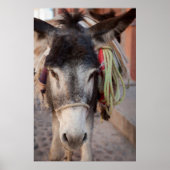 Mexico, San Miguel De Allende Poster (Voorkant)