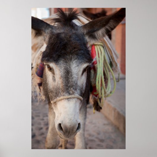Mexico, San Miguel De Allende Poster (Voorkant)