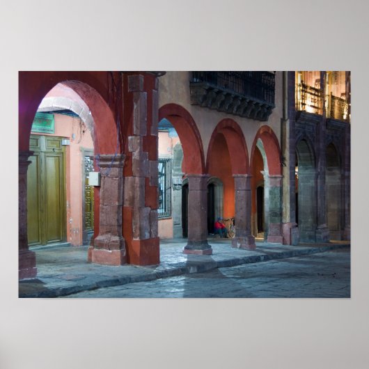 Mexico, San Miguel de Allende, The Jardin Poster (Voorkant)
