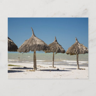 Mexico, schiereiland Yucatan, Progreso. Thatch Briefkaart