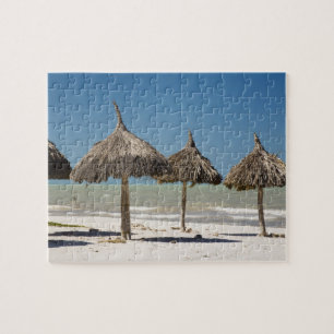 Mexico, schiereiland Yucatan, Progreso. Thatch Legpuzzel