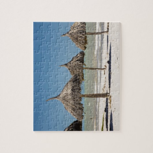 Mexico, schiereiland Yucatan, Progreso. Thatch Legpuzzel (Verticaal)