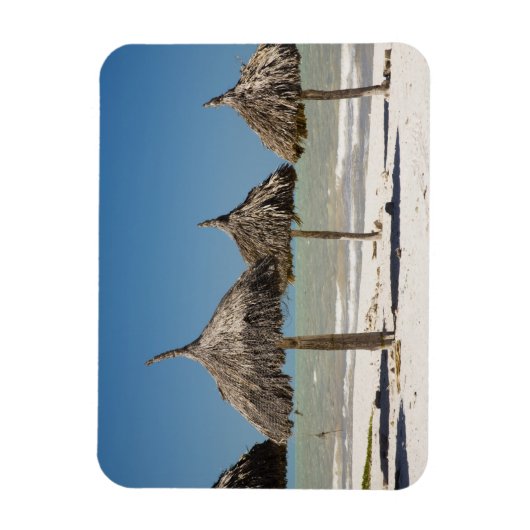 Mexico, schiereiland Yucatan, Progreso. Thatch Magneet (Verticaal)