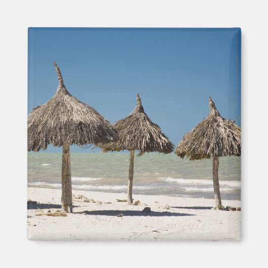 Mexico, schiereiland Yucatan, Progreso. Thatch Magneet (Voorkant)