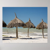 Mexico, schiereiland Yucatan, Progreso. Thatch Poster (Voorkant)
