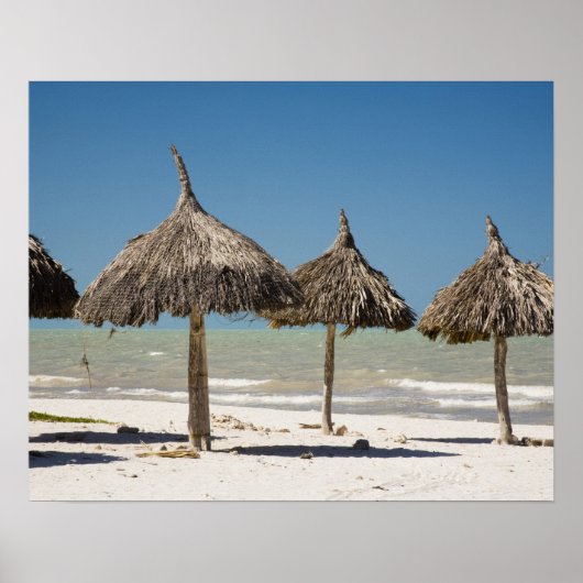 Mexico, schiereiland Yucatan, Progreso. Thatch Poster (Voorkant)