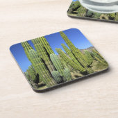 Mexico, Sonora, San Carlos. Saguaro & Organ Pipe Drankjes Onderzetter (Linkerzijde)