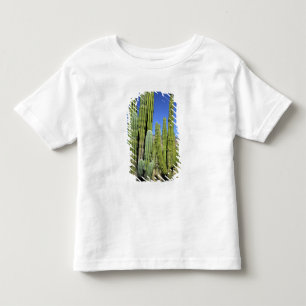 Mexico, Sonora, San Carlos. Saguaro & Organ Pipe Kinder Shirts