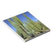 Mexico, Sonora, San Carlos. Saguaro & Organ Pipe Notitieblok (Schuin)