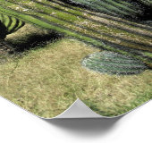 Mexico, Sonora, San Carlos. Saguaro & Organ Pipe Poster (Hoek)