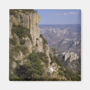 Mexico, staat Chihuahua, Copper Canyon. 2 Magneet