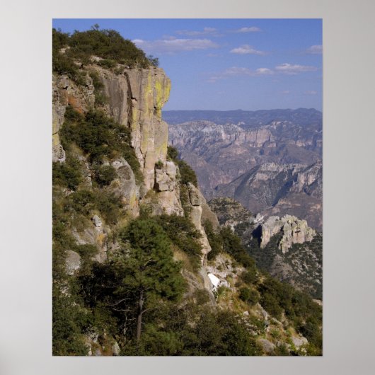 Mexico, staat Chihuahua, Copper Canyon. 2 Poster (Voorkant)