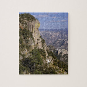 Mexico, staat Chihuahua, Copper Canyon. DEZE 2 Legpuzzel