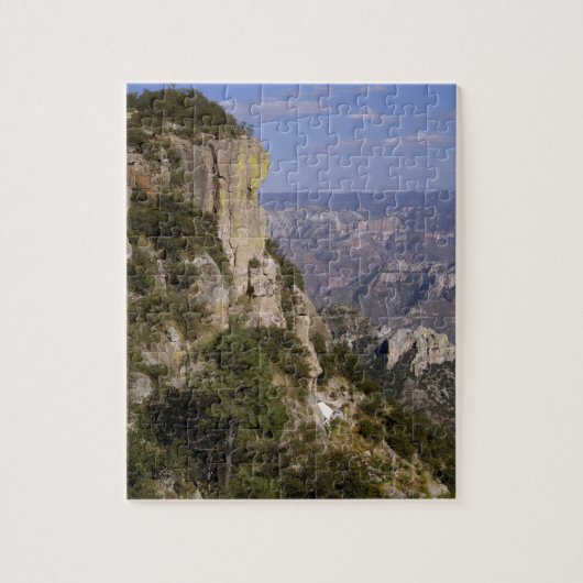 Mexico, staat Chihuahua, Copper Canyon. DEZE 2 Legpuzzel (Verticaal)