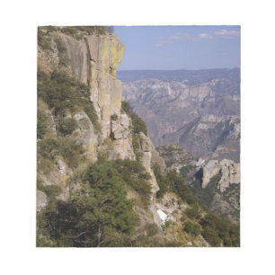 Mexico, staat Chihuahua, Copper Canyon. DEZE 2 Notitieblok