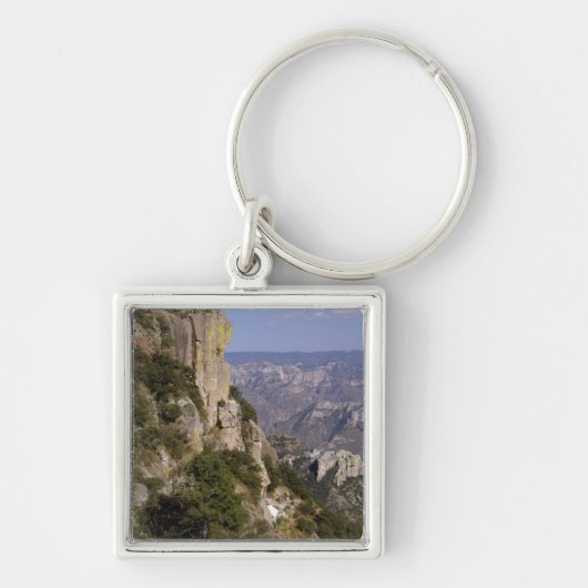 Mexico, staat Chihuahua, Copper Canyon. DIT 2 Sleutelhanger (Voorkant)