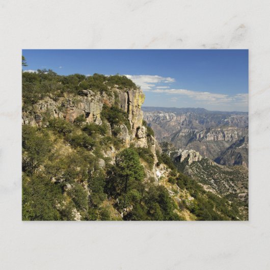 Mexico, staat Chihuahua, Copper Canyon. DIT Briefkaart (Voorkant)