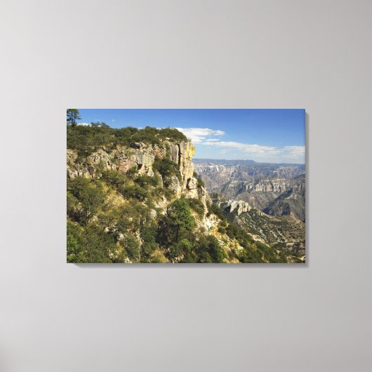 Mexico, staat Chihuahua, Copper Canyon. DIT Canvas Afdruk (Voorkant)