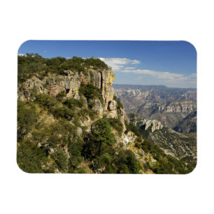 Mexico, Staat Chihuahua, Koperkanyon. DEZE Magneet