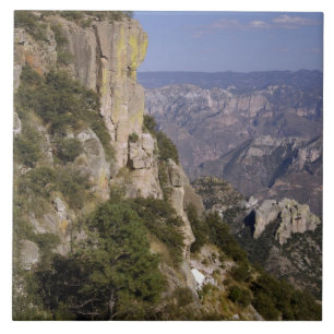 Mexico, staat Chihuahua, Koperkanyon. DIT 2 Tegeltje
