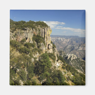 Mexico, Staat Chihuahua, Koperkloof. DEZE Magneet
