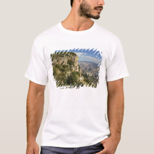 Mexico, Staat Chihuahua, Koperkloof. DEZE T-shirt