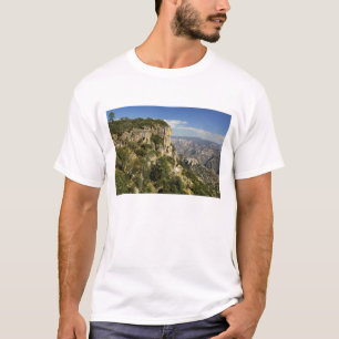 Mexico, staat Chihuahua, Koperkloof. DEZE T-shirt