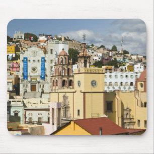 Mexico, staat Guanajuato, Guanajuato. Basiliek Muismat