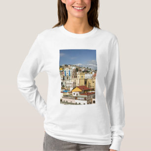 Mexico, staat Guanajuato, Guanajuato. Basiliek T-shirt