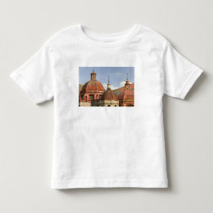 Mexico, staat Guanajuato, Guanajuato. Templo de Kinder Shirts