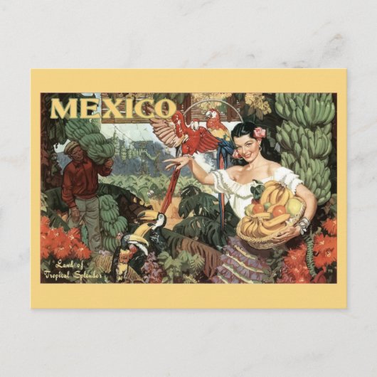 Mexico Toerisme Tropisch Kleurrijk Reizen Briefkaart (Voorkant)