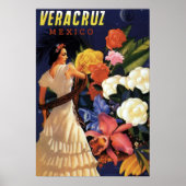  Mexico Travel Poster (Voorkant)