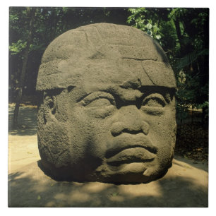 Mexico, Villahermosa, reuzenkop Olmec, La Venta Tegeltje
