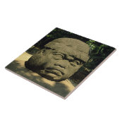 Mexico, Villahermosa, reuzenkop Olmec, La Venta Tegeltje (Zijkant)