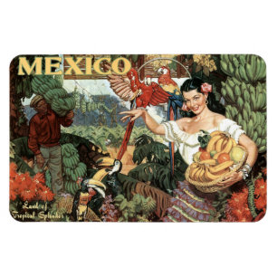 Mexico vintage reismagneet magneet