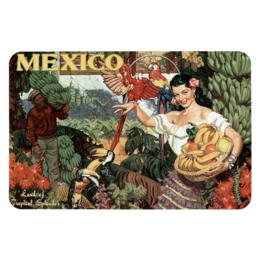 Mexico vintage reismagneet magneet (Horizontaal)