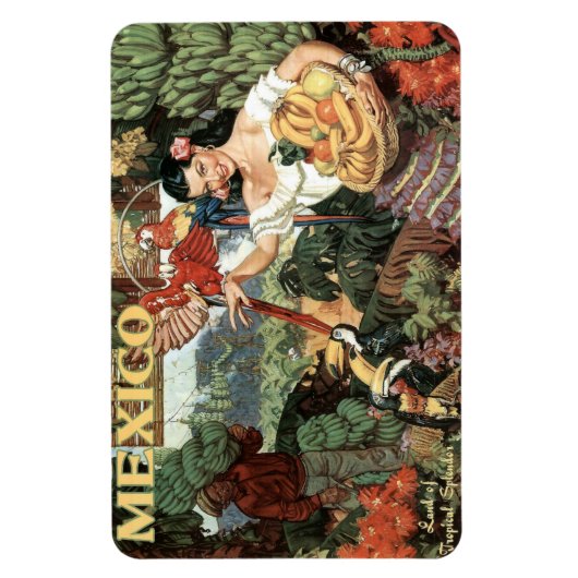 Mexico vintage reismagneet magneet (Verticaal)