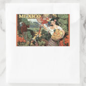 Mexico vintage reizen stickers (Tas)