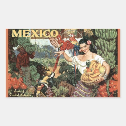 Mexico vintage reizen stickers (Voorkant)